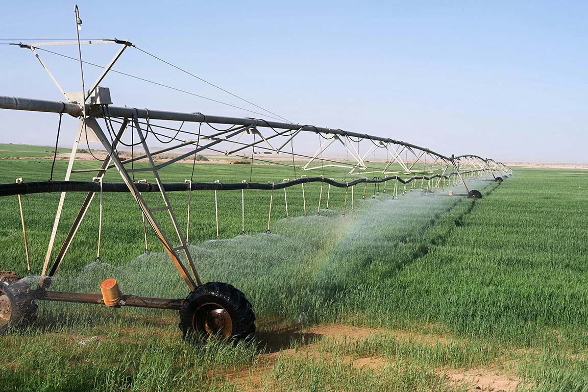 Agriculture
