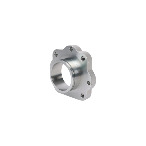 Adapter flange